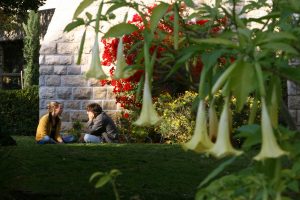 Students Sitting in Grass