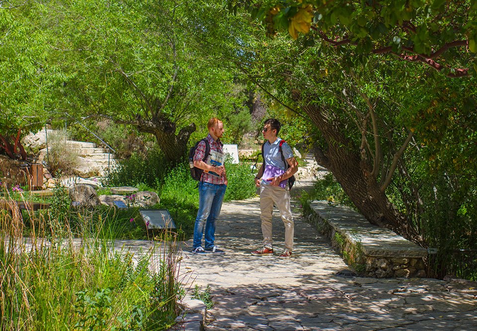 Two male students talking in gardens in springtime
